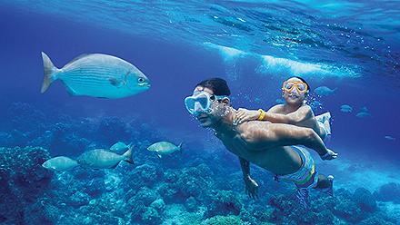 Cozumel Columbia Reef Snorkeling Father and Son